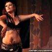 Tribal Fest 2008